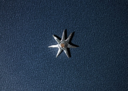 Star Pendant