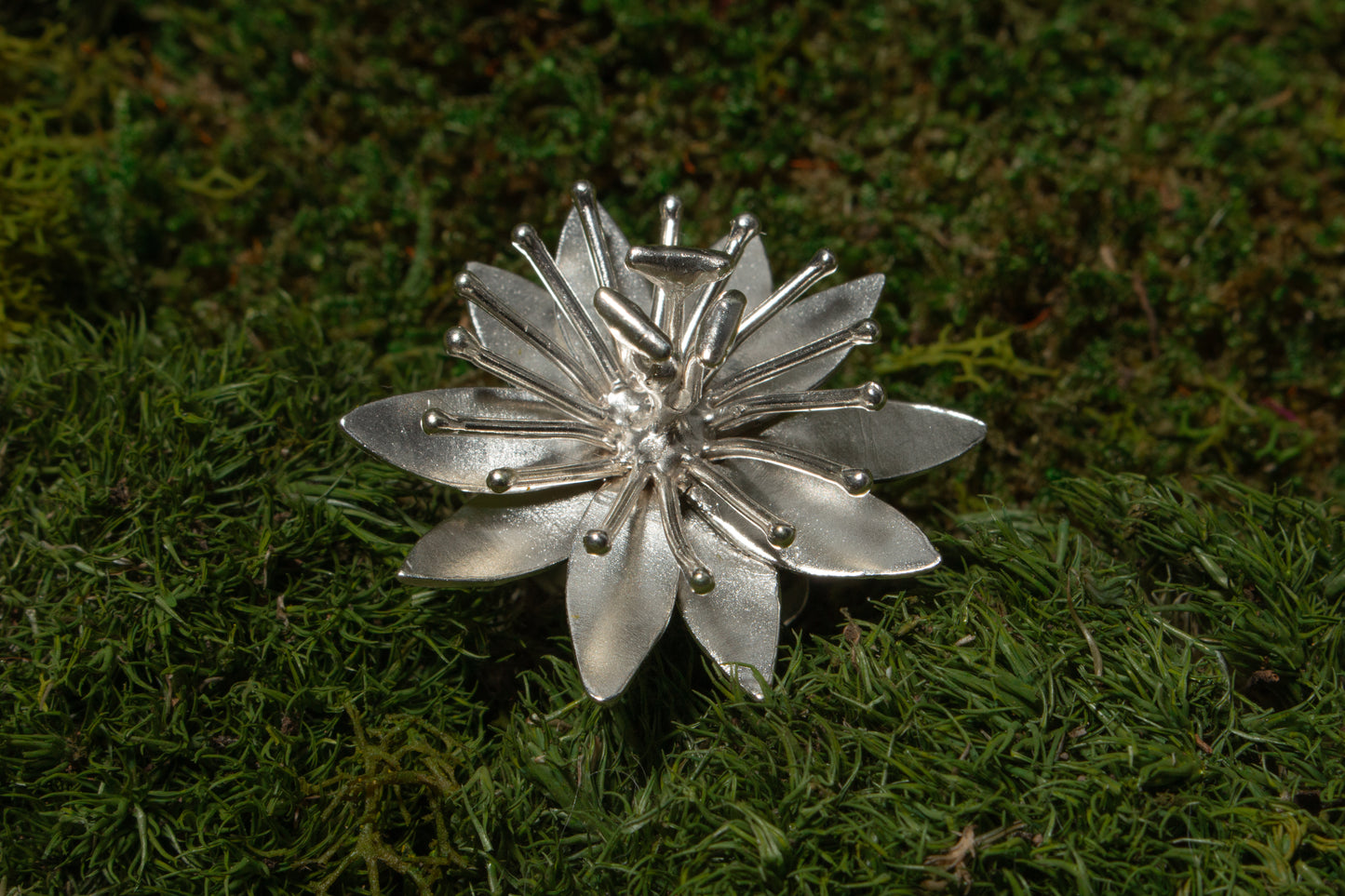 Passiflora Ring